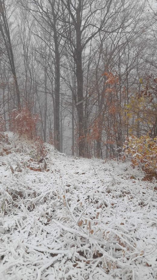 Winter in den Karpaten_2023_Weintal_Oberwischau_Maramures_Rumänien_XIII